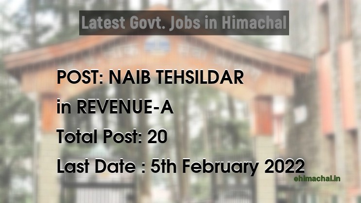 NAIB TEHSILDAR recruitment in Himachal in REVENUE-A - Job Alerts