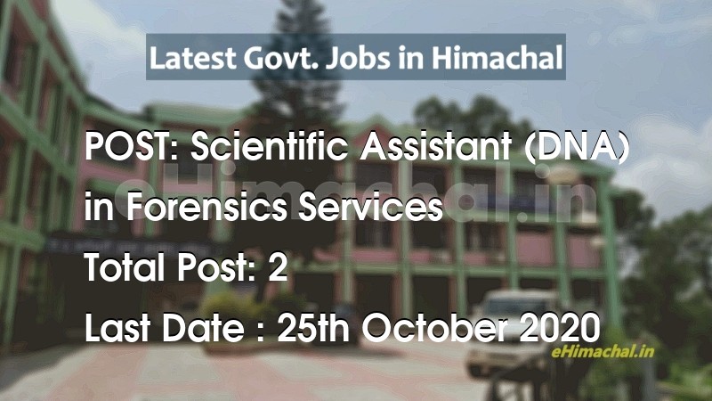 Scientific Assistant (DNA) recruitment in Himachal in Forensics Services total Vacancies 2 - Job Alerts
