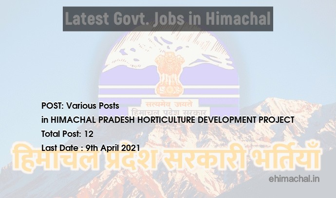 Various Posts recruitment in Himachal in HIMACHAL PRADESH HORTICULTURE DEVELOPMENT PROJECT total Vacancies 12 - Job Alerts